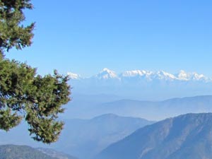 top best travel agent in Kausani